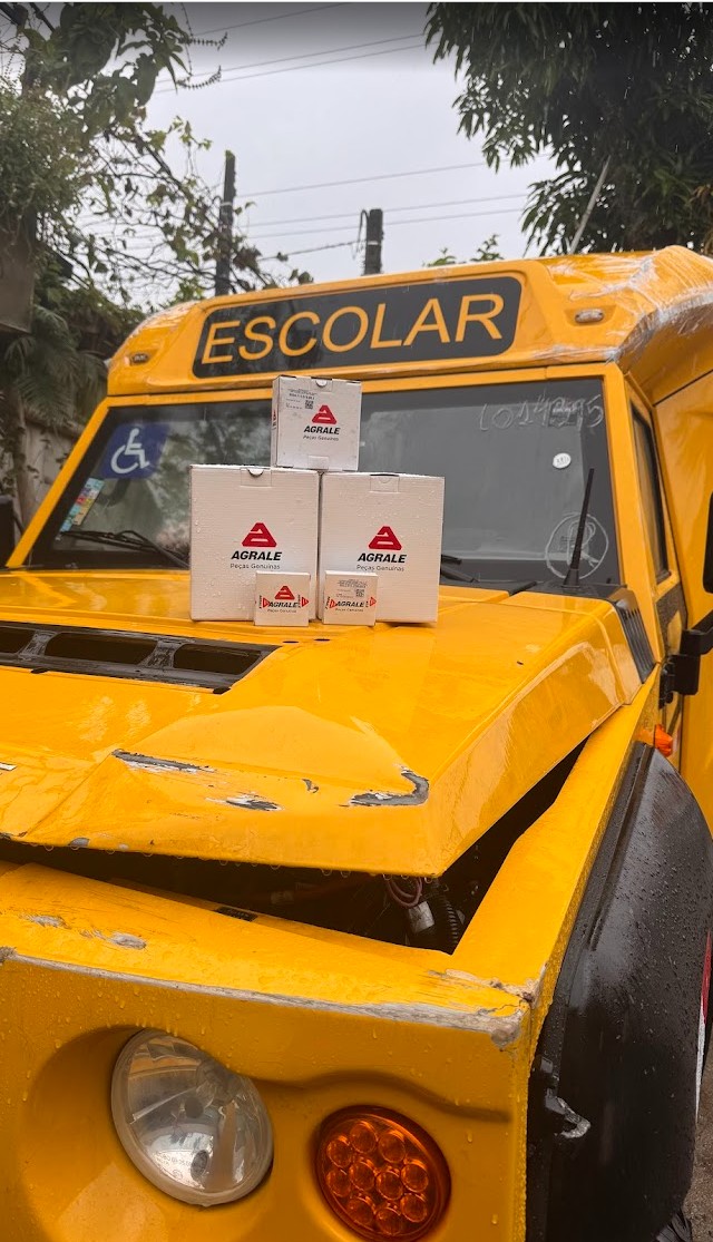 Limpeza e descaracterização do Marruá escolar